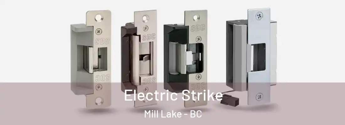  Electric Strike Mill Lake - BC