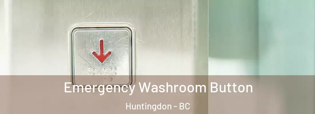  Emergency Washroom Button Huntingdon - BC