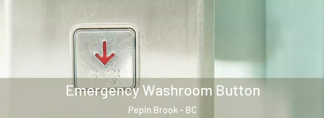  Emergency Washroom Button Pepin Brook - BC