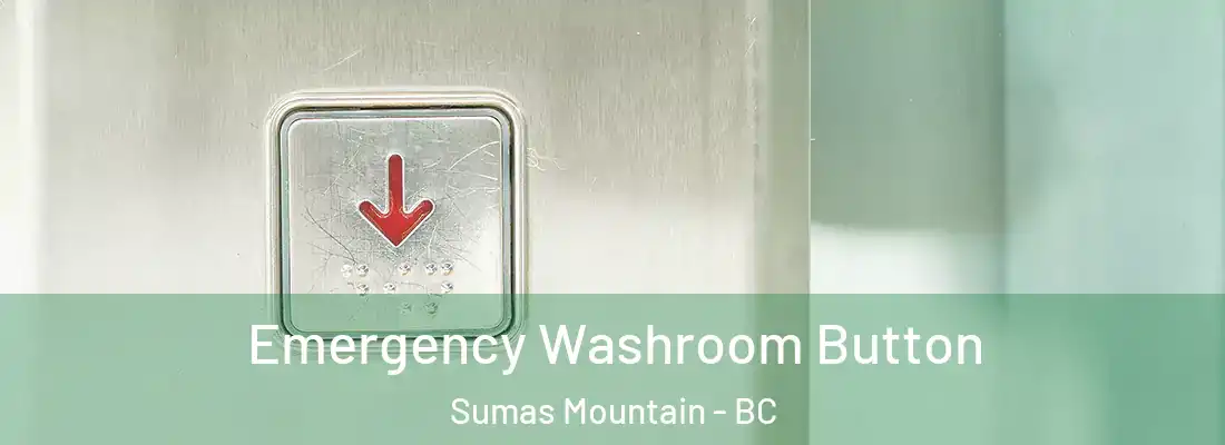  Emergency Washroom Button Sumas Mountain - BC