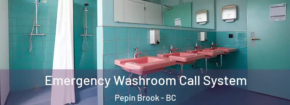  Emergency Washroom Call System Pepin Brook - BC