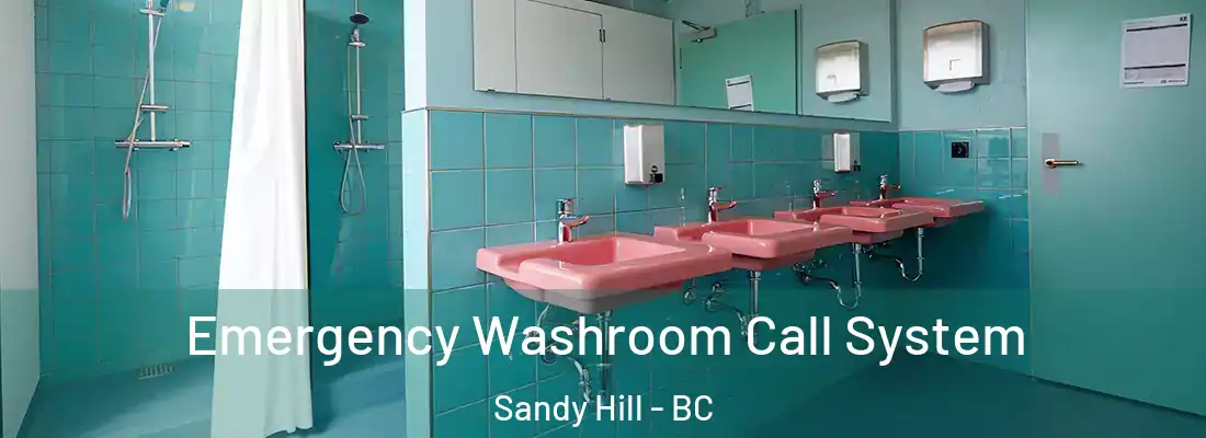  Emergency Washroom Call System Sandy Hill - BC
