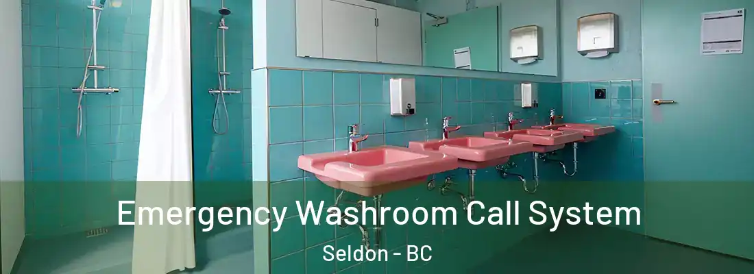  Emergency Washroom Call System Seldon - BC