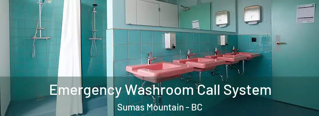  Emergency Washroom Call System Sumas Mountain - BC