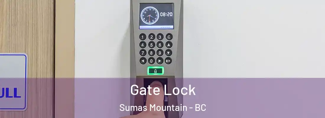  Gate Lock Sumas Mountain - BC