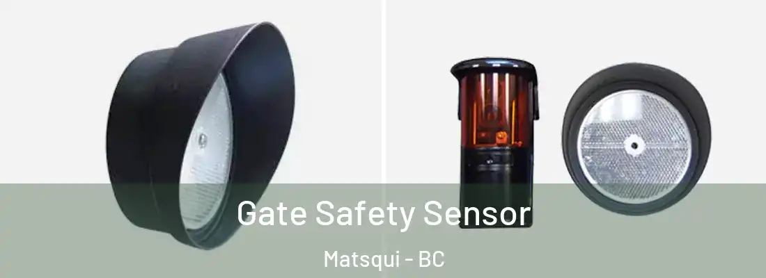  Gate Safety Sensor Matsqui - BC