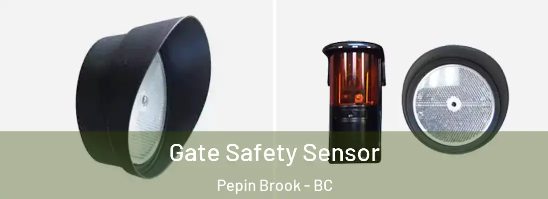  Gate Safety Sensor Pepin Brook - BC