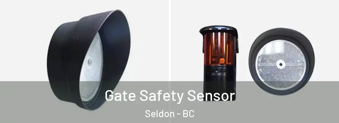 Gate Safety Sensor Seldon - BC