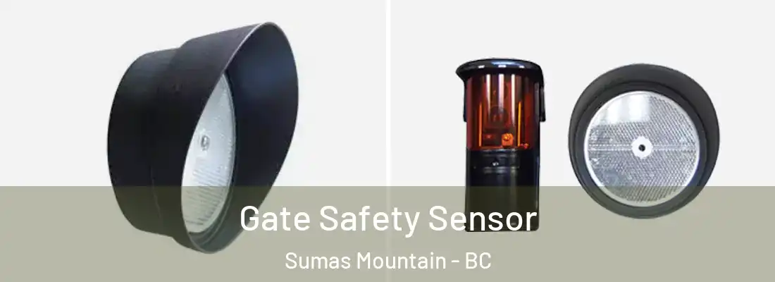  Gate Safety Sensor Sumas Mountain - BC