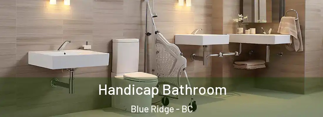  Handicap Bathroom Blue Ridge - BC