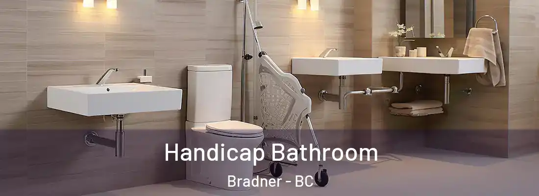  Handicap Bathroom Bradner - BC