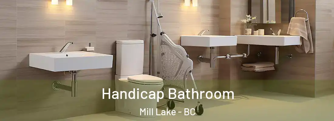  Handicap Bathroom Mill Lake - BC