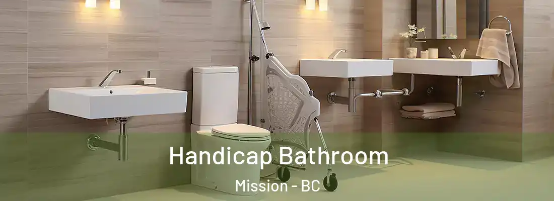  Handicap Bathroom Mission - BC