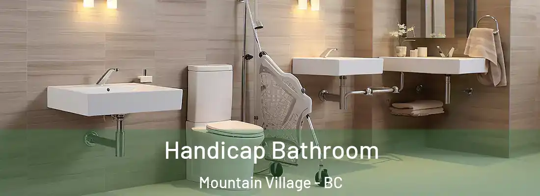  Handicap Bathroom Mountain Village - BC