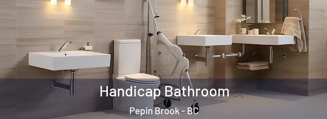  Handicap Bathroom Pepin Brook - BC