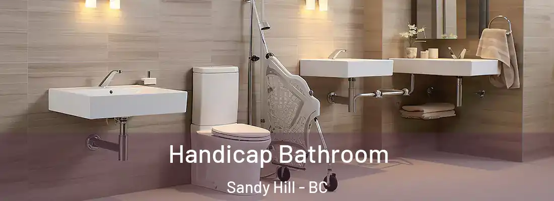  Handicap Bathroom Sandy Hill - BC