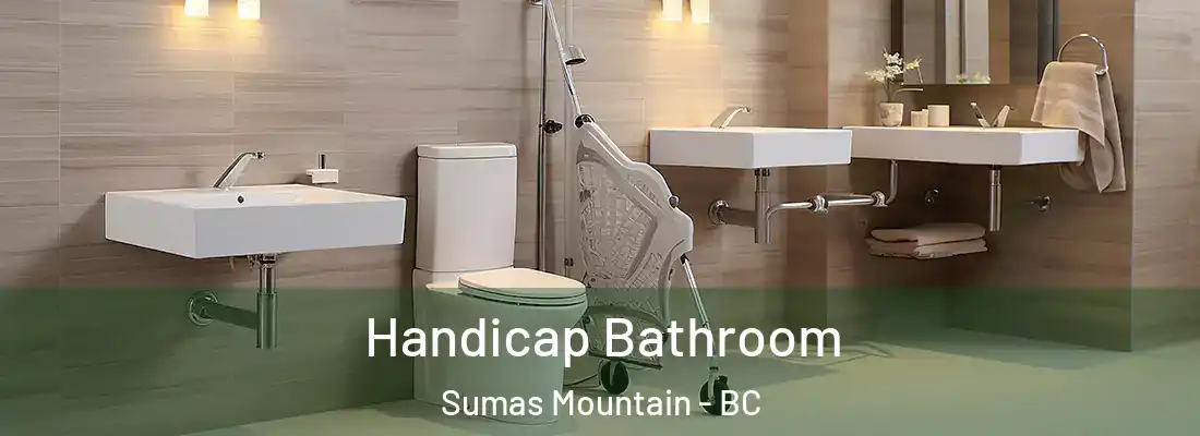  Handicap Bathroom Sumas Mountain - BC