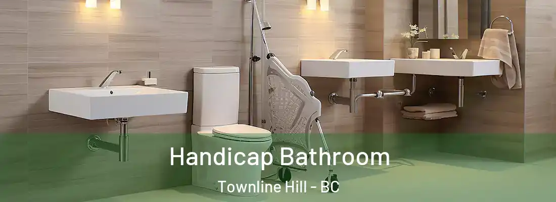  Handicap Bathroom Townline Hill - BC