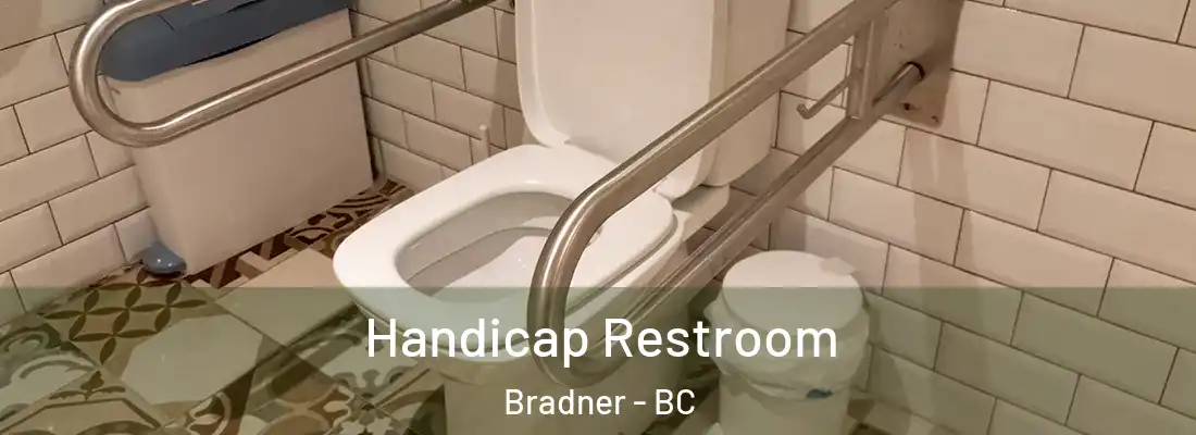  Handicap Restroom Bradner - BC