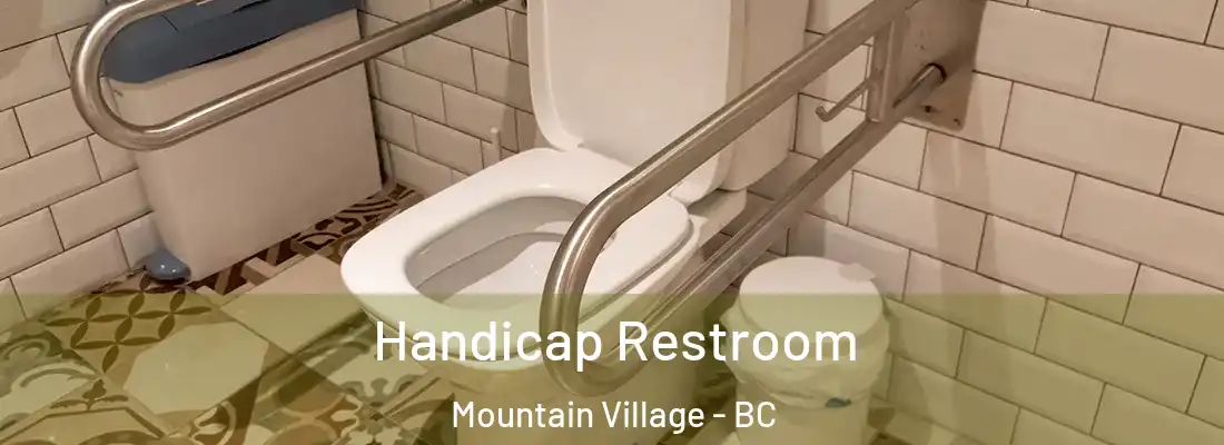  Handicap Restroom Mountain Village - BC