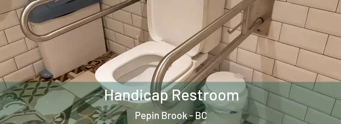  Handicap Restroom Pepin Brook - BC