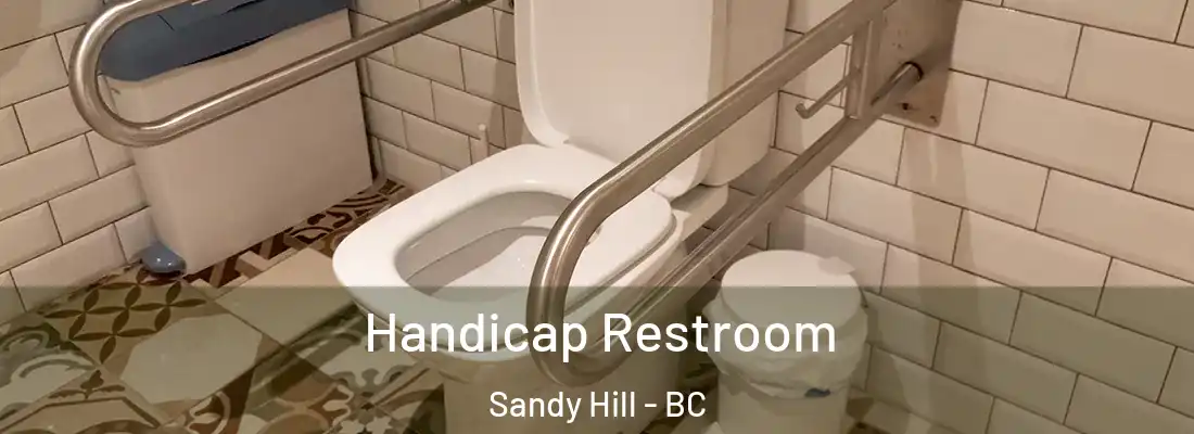  Handicap Restroom Sandy Hill - BC