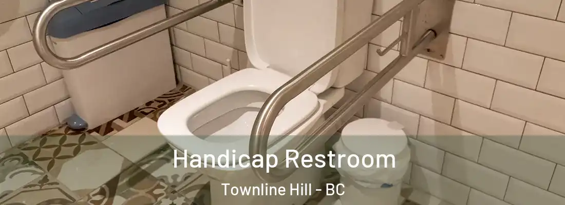  Handicap Restroom Townline Hill - BC