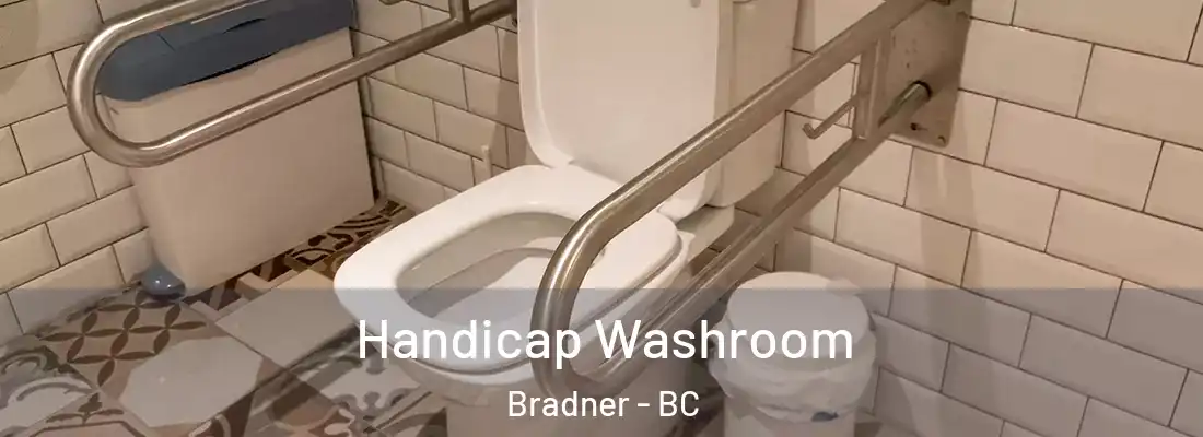  Handicap Washroom Bradner - BC
