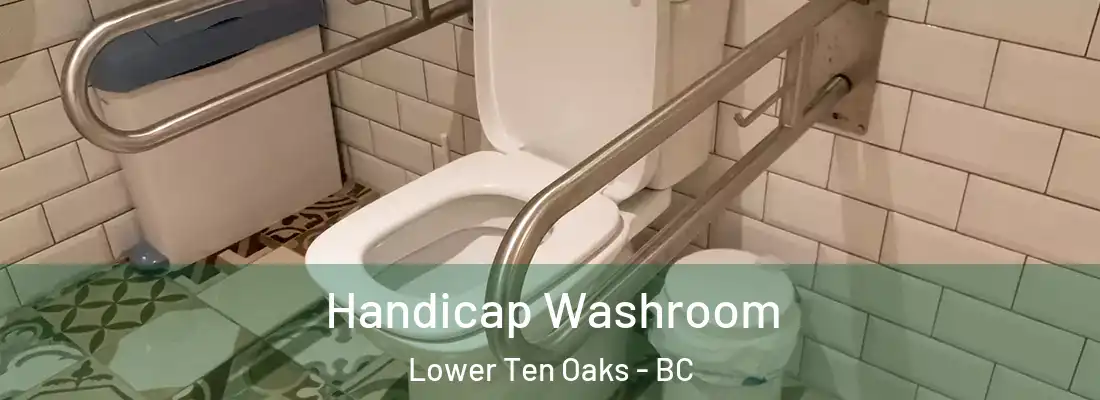  Handicap Washroom Lower Ten Oaks - BC