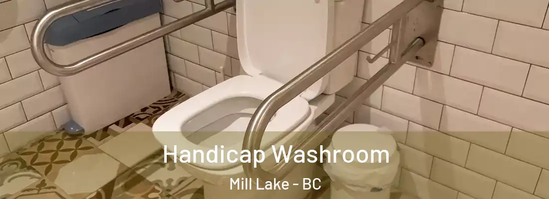 Handicap Washroom Mill Lake - BC