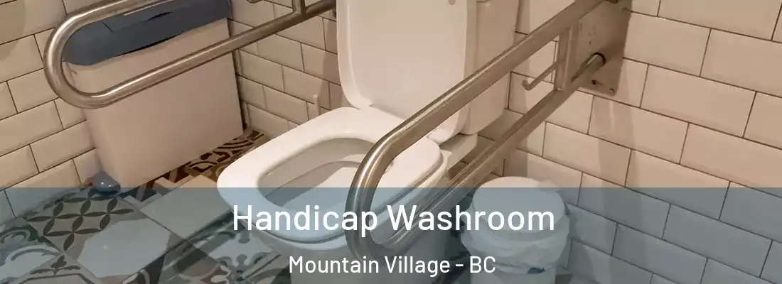  Handicap Washroom Mountain Village - BC