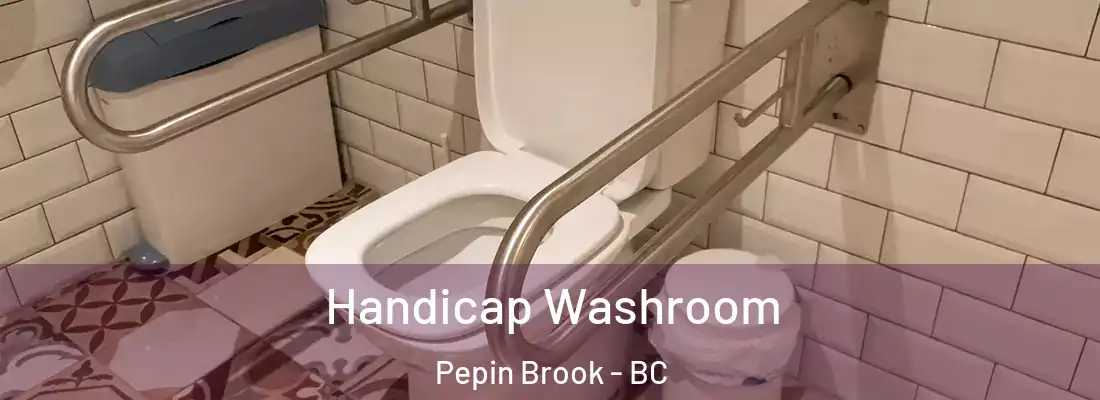  Handicap Washroom Pepin Brook - BC