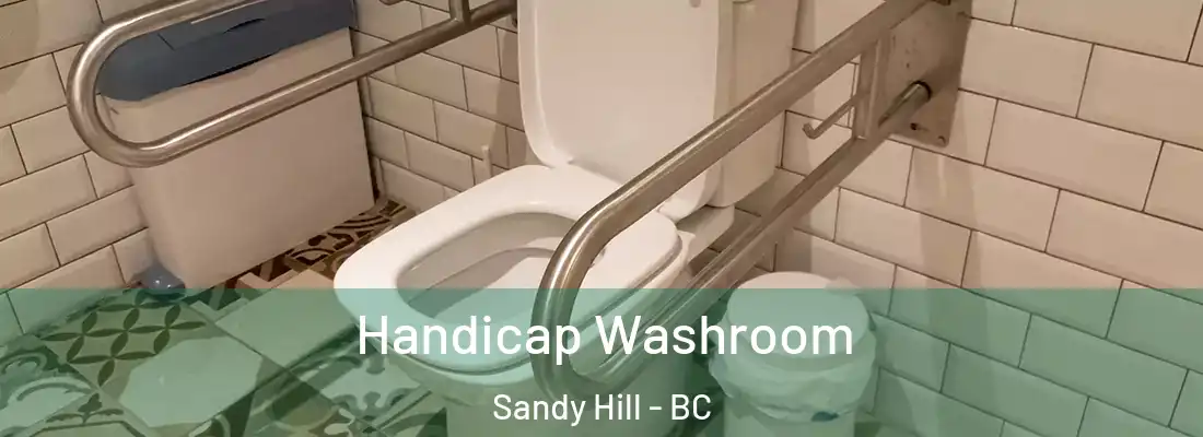  Handicap Washroom Sandy Hill - BC