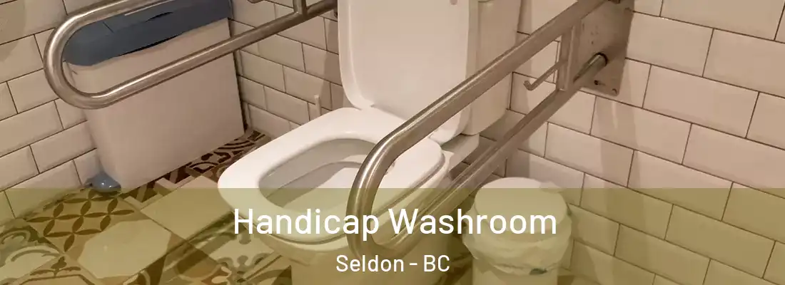  Handicap Washroom Seldon - BC