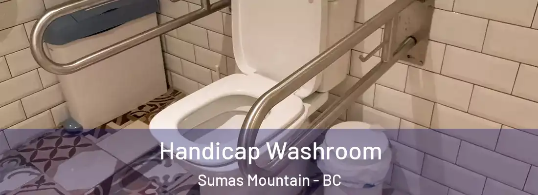  Handicap Washroom Sumas Mountain - BC