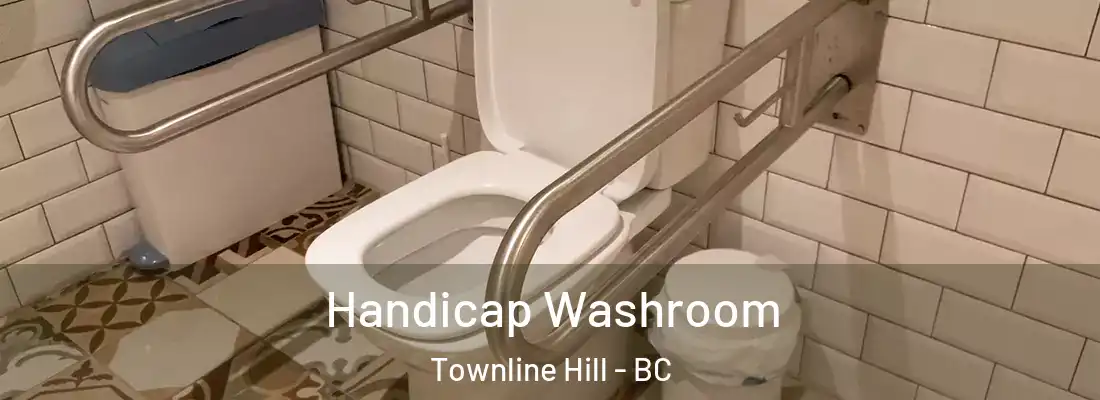  Handicap Washroom Townline Hill - BC