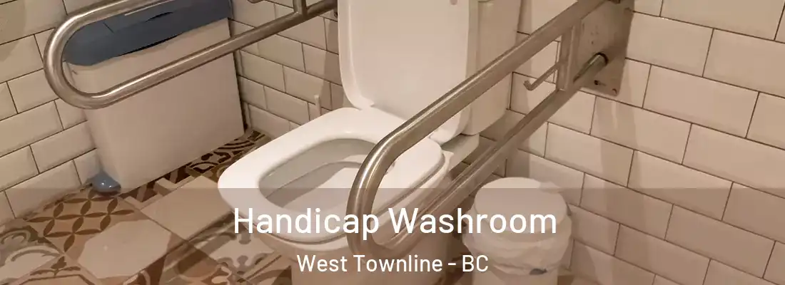  Handicap Washroom West Townline - BC
