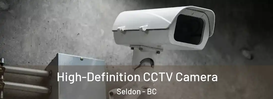  High-Definition CCTV Camera Seldon - BC