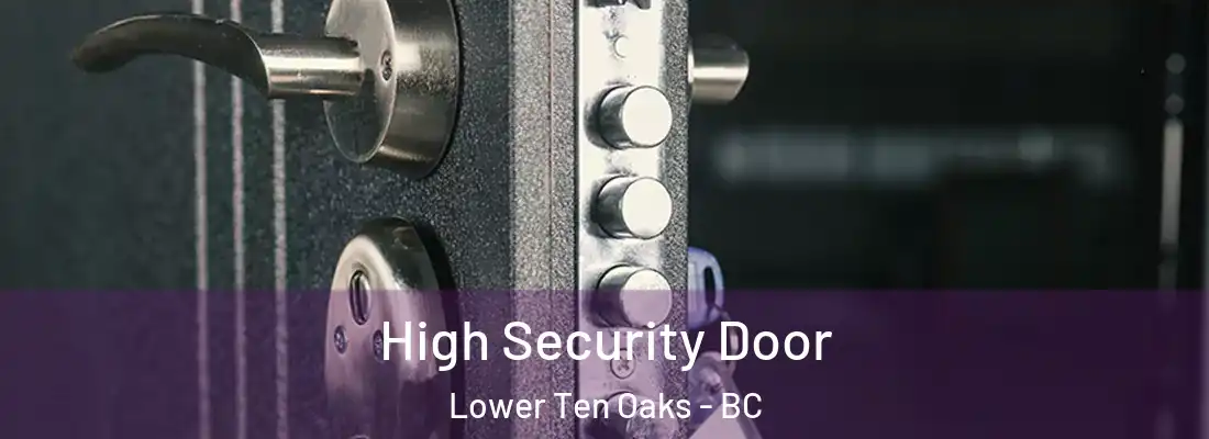  High Security Door Lower Ten Oaks - BC