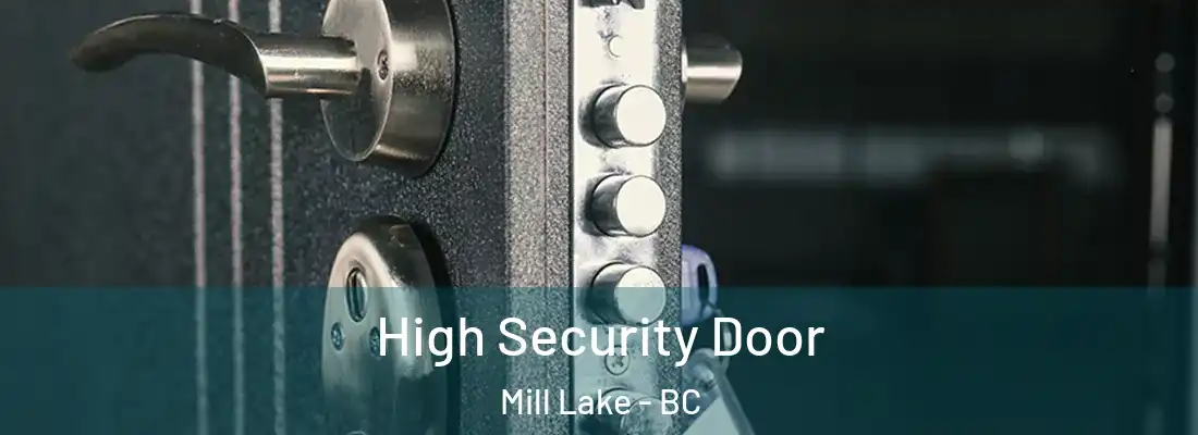  High Security Door Mill Lake - BC