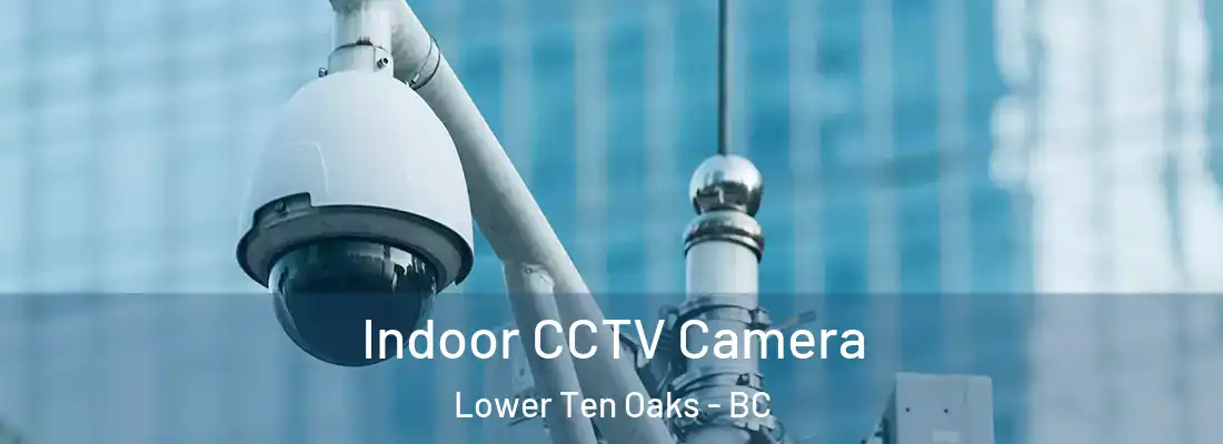  Indoor CCTV Camera Lower Ten Oaks - BC