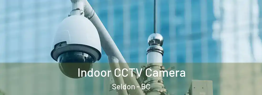  Indoor CCTV Camera Seldon - BC