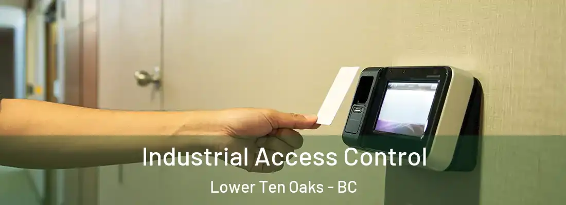  Industrial Access Control Lower Ten Oaks - BC