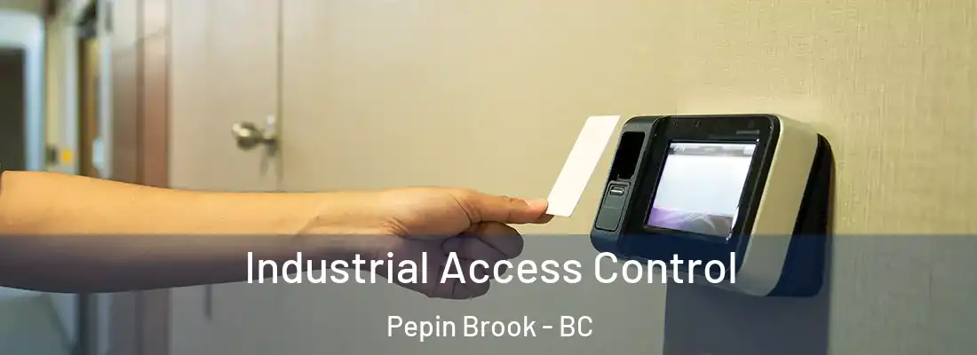  Industrial Access Control Pepin Brook - BC