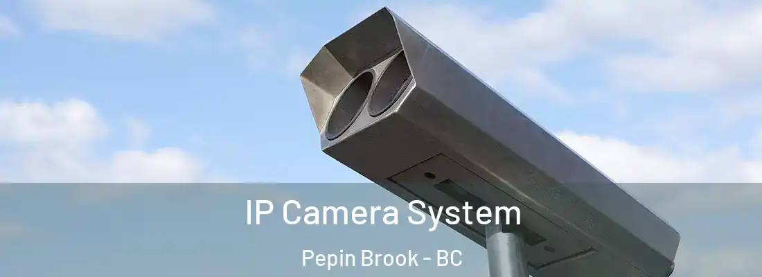  IP Camera System Pepin Brook - BC