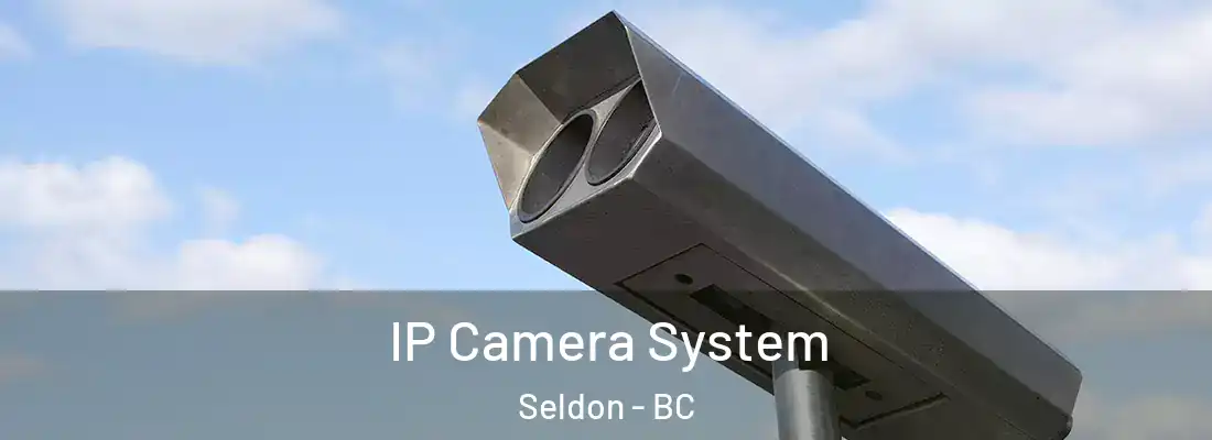  IP Camera System Seldon - BC