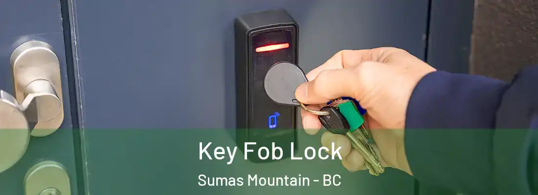  Key Fob Lock Sumas Mountain - BC