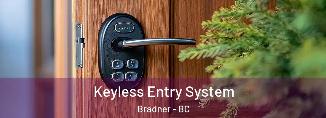  Keyless Entry System Bradner - BC