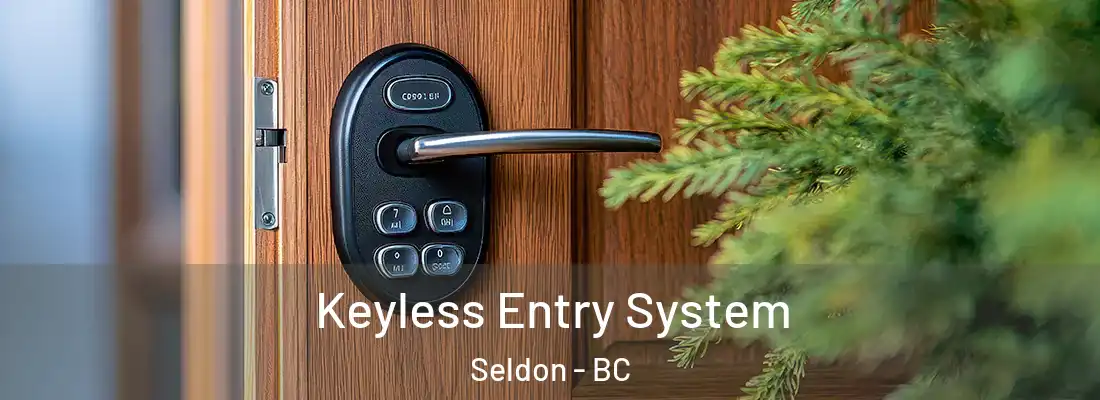 Keyless Entry System Seldon - BC