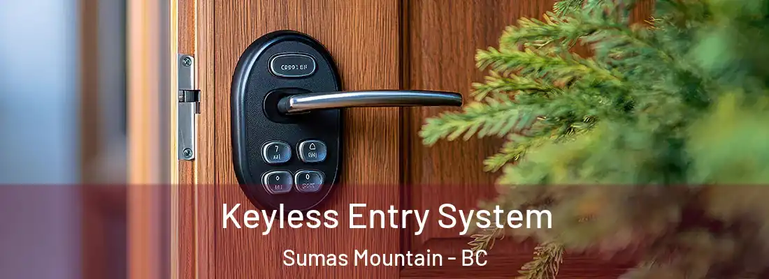  Keyless Entry System Sumas Mountain - BC